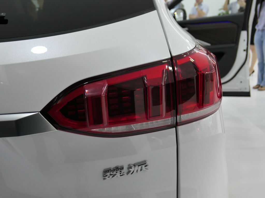 魏牌 VV6 图片