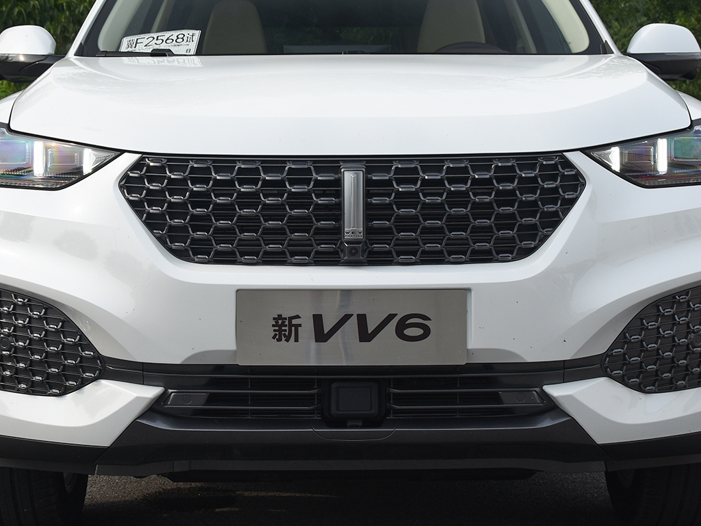魏牌 VV6 图片