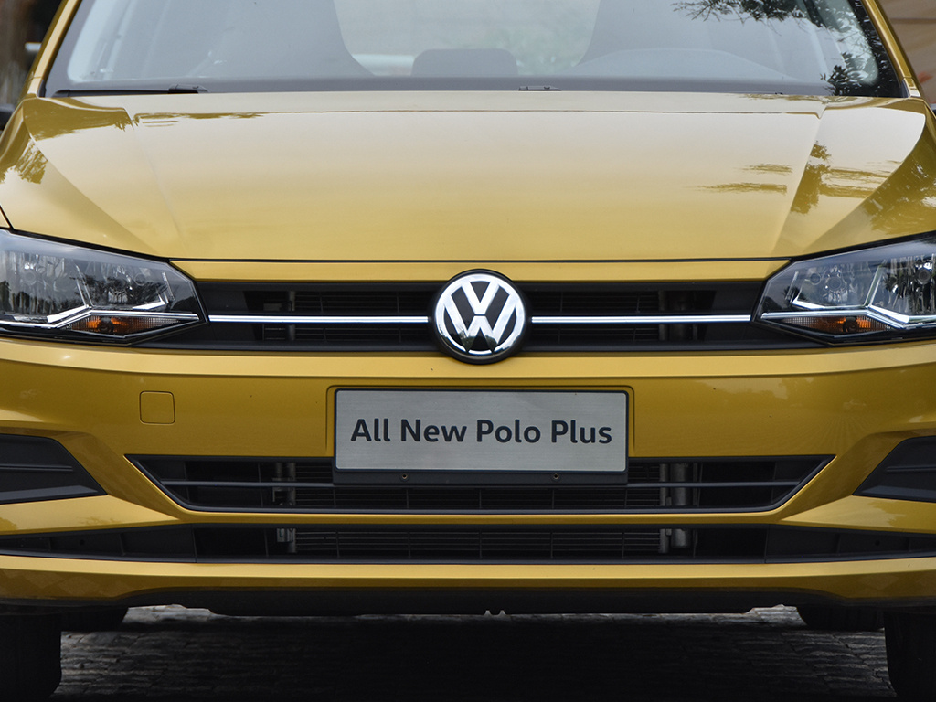 Polo 图片