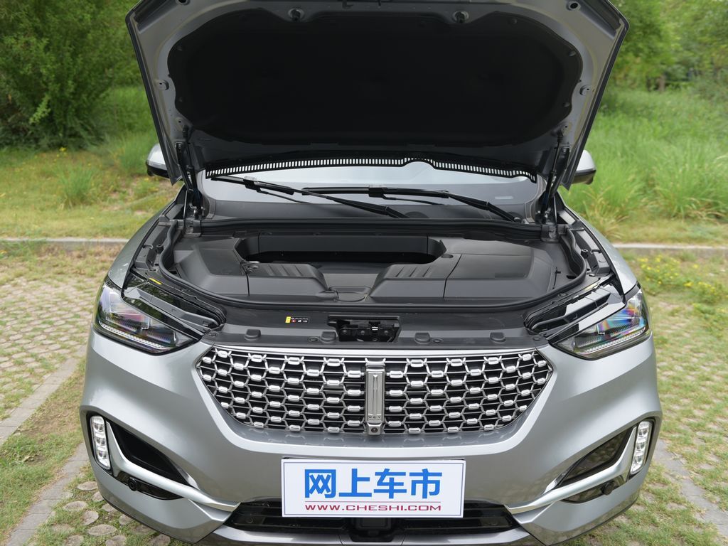 魏牌 VV6 图片