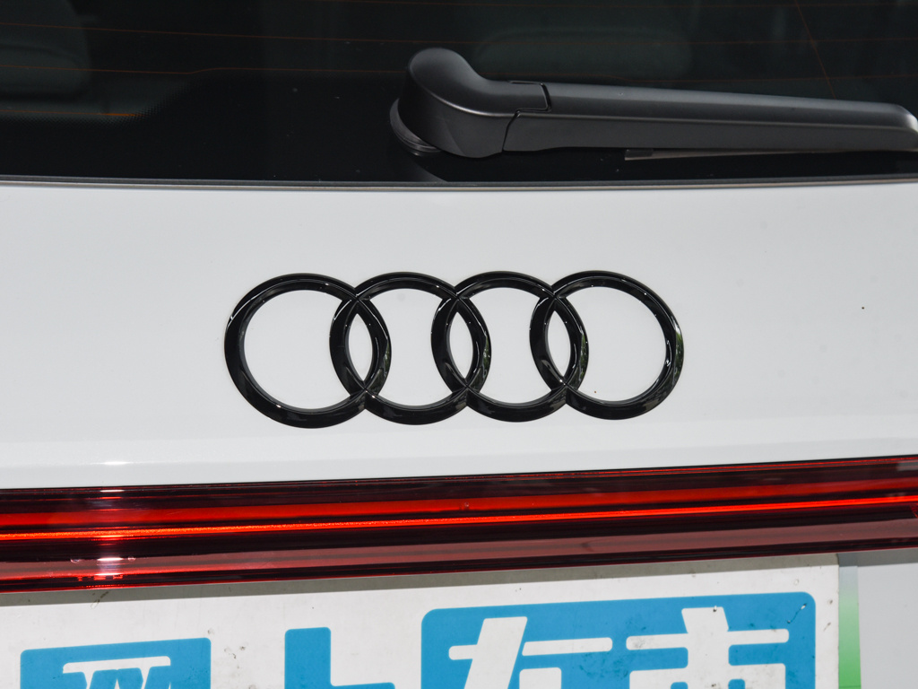 奥迪Q5 e-tron 图片