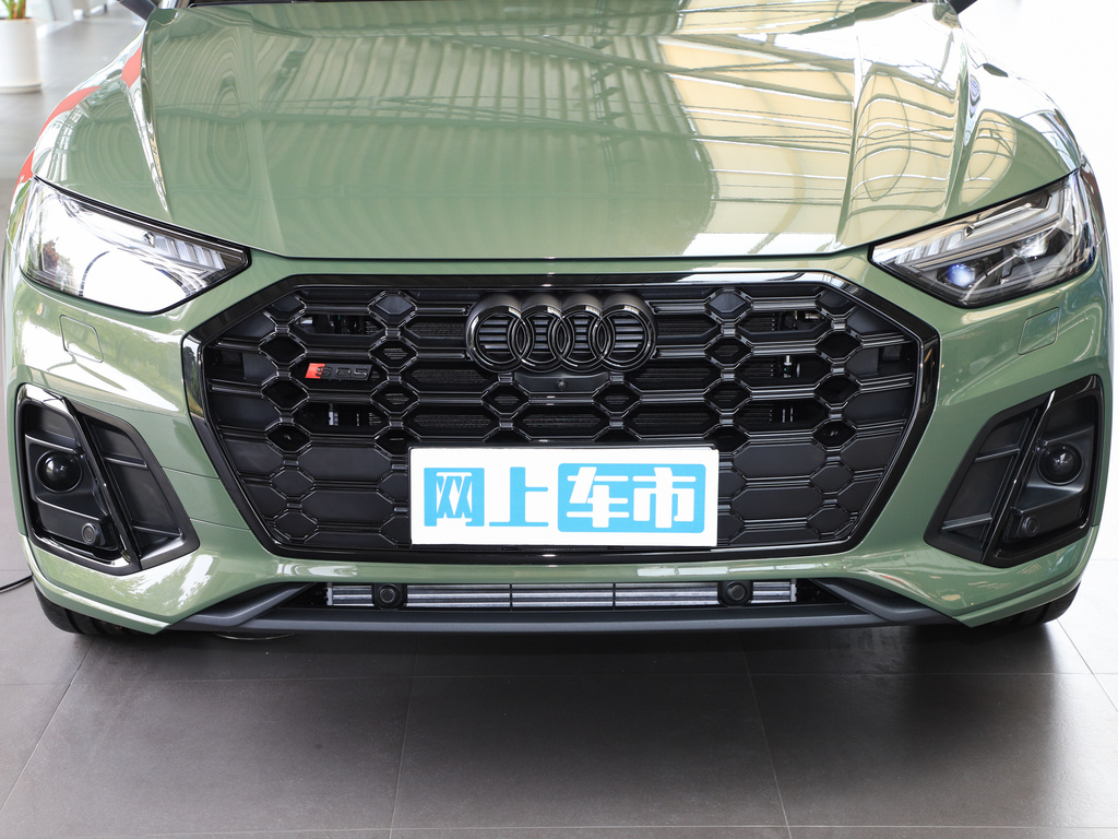 奥迪SQ5 图片