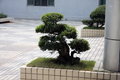 獵豹CS6 長豐星沙基地圖片