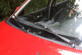MG 3SW MG名爵 MG3图片