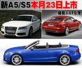 奥迪A5 奥迪(进口) A5图片