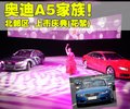 奥迪A5 奥迪(进口) A5图片