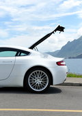 阿斯顿·马丁V8 Vantage 阿斯顿-马丁 V8 Vantage