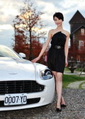阿斯顿·马丁V8 Vantage 阿斯顿-马丁 V8 Vantage