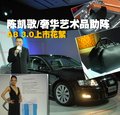 奥迪A8 奥迪(进口) A8L 2008款图片