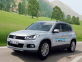 Tiguan 大众(进口) 途欢Tiguan图片