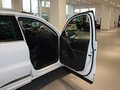 Tiguan Tiguan 2.0T R-Line图片