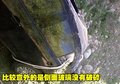 朗逸 上海大众 朗逸LAVIDA图片