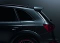 奥迪Q5(进口) 奥迪(进口) Q5图片