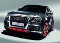 奥迪Q5(进口) 奥迪(进口) Q5图片