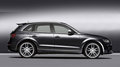 奥迪Q5(进口) 奥迪(进口) Q5图片