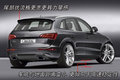 奥迪Q5(进口) 奥迪(进口) Q5图片