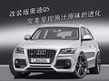 奥迪Q5(进口) 奥迪(进口) Q5图片