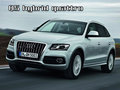 奥迪Q5(进口) 奥迪(进口) Q5图片