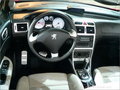 标致307CC 标致(进口) 307CC图片