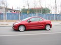标致207(进口) 标致(进口) 207cc图片