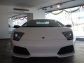 兰博基尼 Murcielago