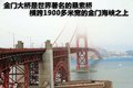 爱虎 福特(进口) 爱虎Edge图片