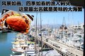 爱虎 福特(进口) 爱虎Edge图片