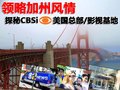 爱虎 福特(进口) 爱虎Edge图片