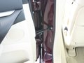 讴歌TL 讴歌 TL 2009款图片