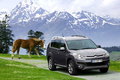 C4 PICASSO 2009款 大C4毕加索图片