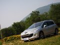 标致308(进口) 标致(进口) 308SW图片