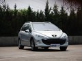 标致308(进口) 标致(进口) 308SW图片