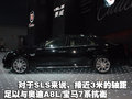 SLS赛威 新SLS图片