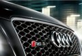 奥迪A5 奥迪(进口) S5图片