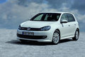 高尔夫 高尔夫6BlueMotion