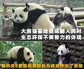 高尔夫 一汽大众 高尔夫第六代图片