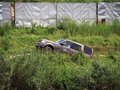 揽胜 路虎 2010款揽胜图片