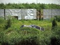 揽胜 路虎 2010款揽胜图片
