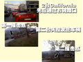 California T 法拉利 California图片