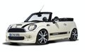 MINI Mini MINI Cooper Cabrio敞篷图片