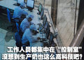 宝马3系 燕宝 特仑苏之旅图片