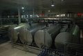 宝马3系 燕宝 特仑苏之旅图片