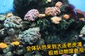 宝马3系 华晨宝马 新3系 2010款图片