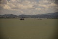宝马3系 华晨宝马 新3系 2010款图片