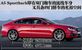 奥迪A8 奥迪(进口) A8L 2010款图片