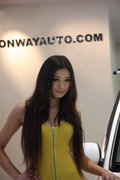 標(biāo)致307 東風(fēng)標(biāo)致 新307三廂 2010款圖片