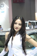 标致307 东风标致 新307三厢 2010款图片