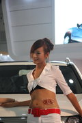 标致307 东风标致 新307三厢 2010款图片