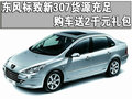 标致307 东风标致 新307三厢 2010款图片