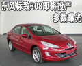 标致307 东风标致 新307两厢 2010款图片